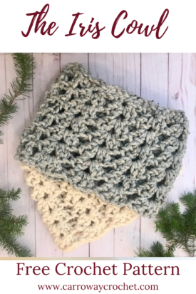 The Iris Cowl: Free Crochet Pattern - Carroway Crochet